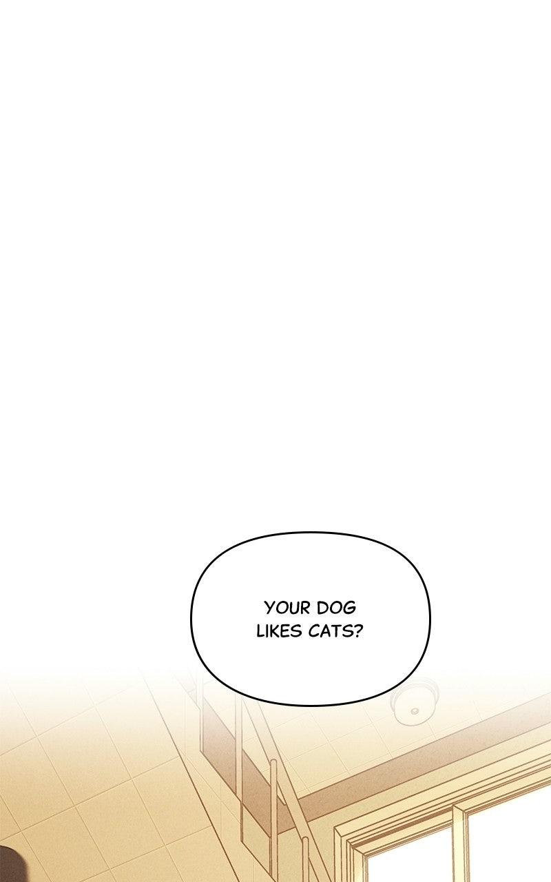 Falling For It Episode 21 41