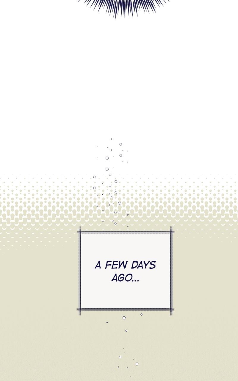 Four Options Episode 8 5