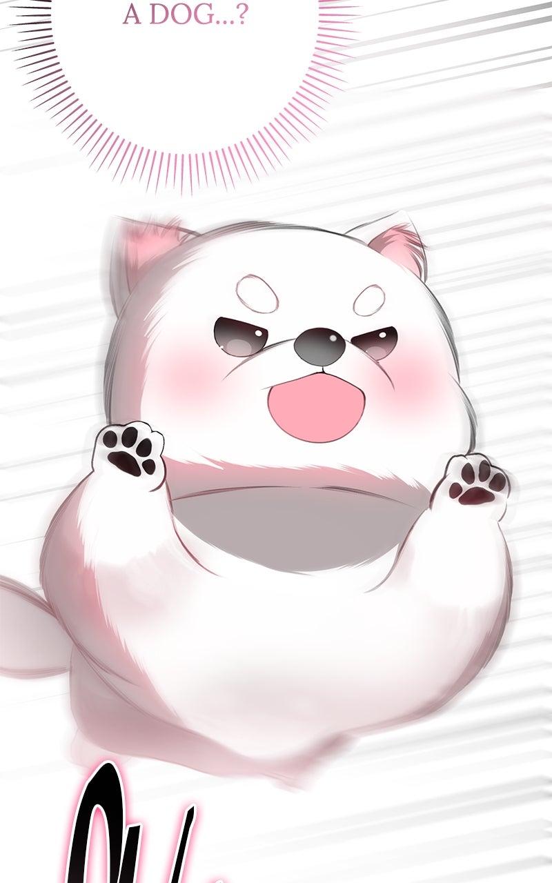Her Tiny Highness, the Mastermind Episode 26 8