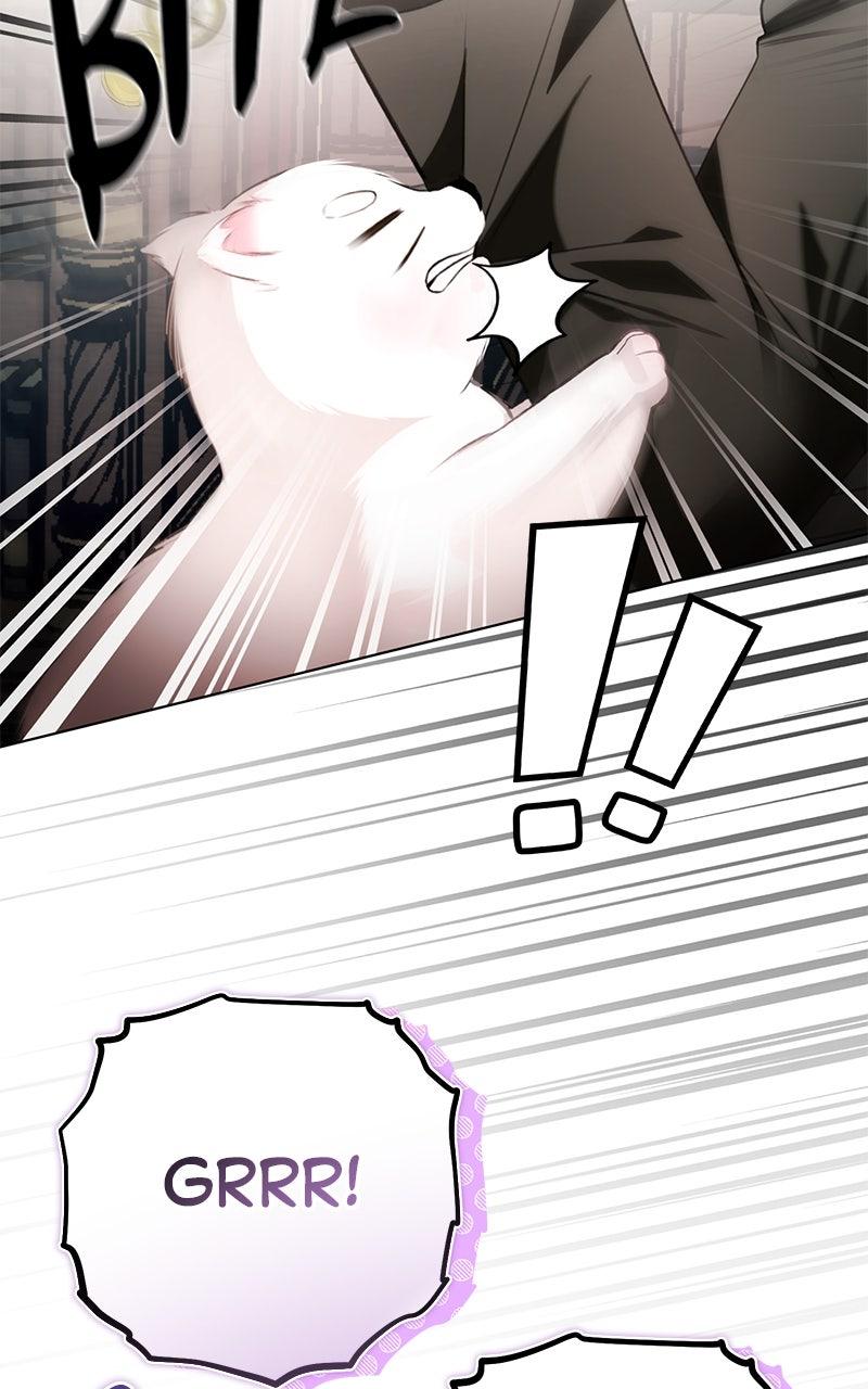 Her Tiny Highness, the Mastermind Episode 26 10