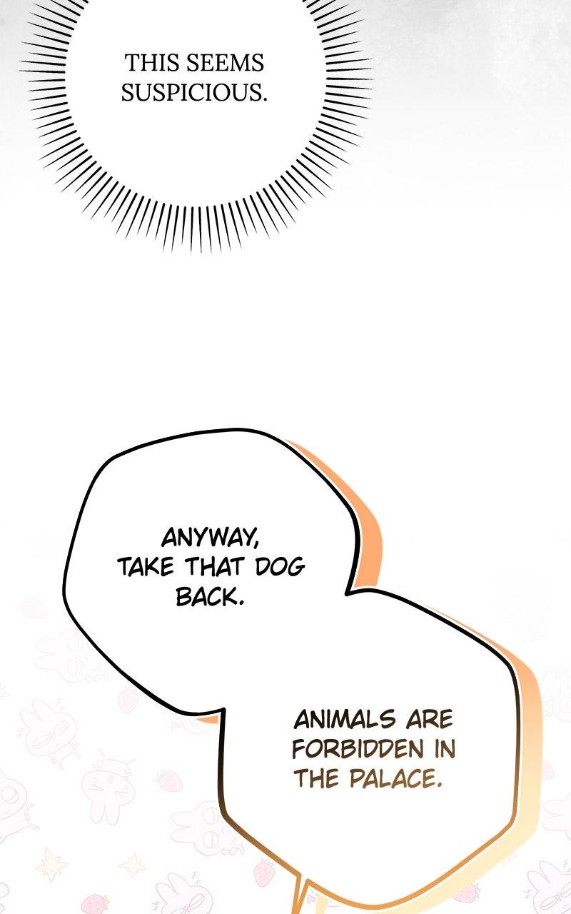 Her Tiny Highness, the Mastermind Episode 26 56