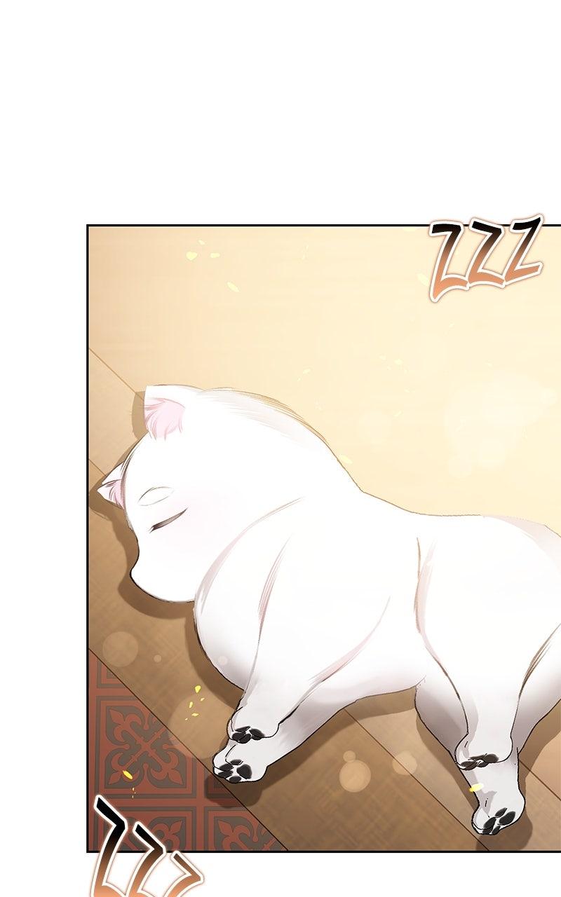 Her Tiny Highness, the Mastermind Episode 27 1