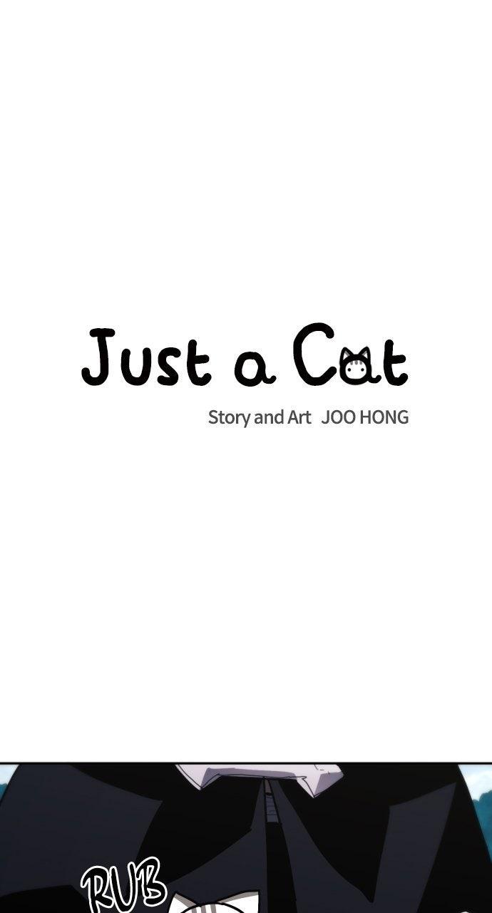 Just A Cat Episode 47 34