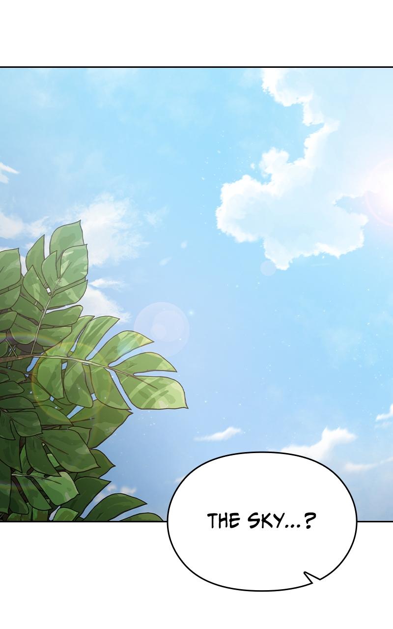 The Nebula’s Civilization 8