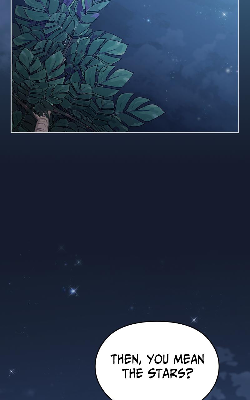 The Nebula’s Civilization 8