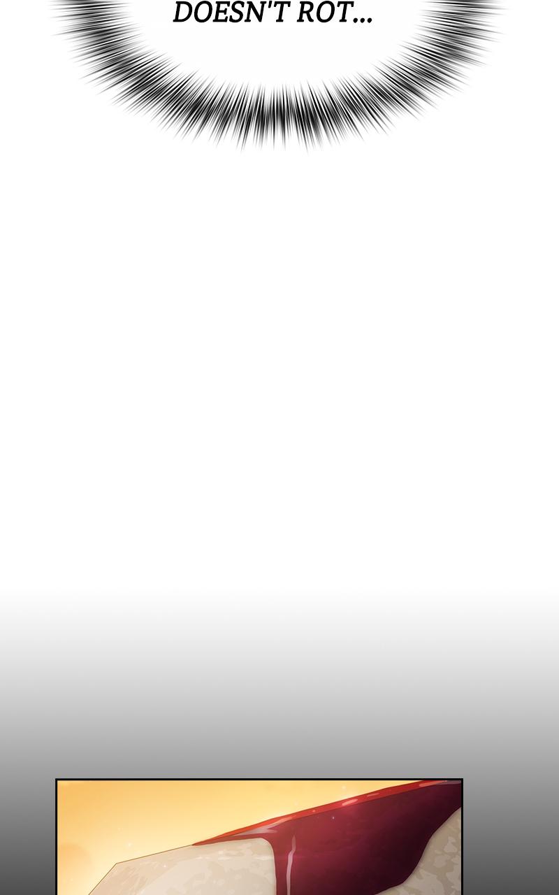 The Nebula’s Civilization 13