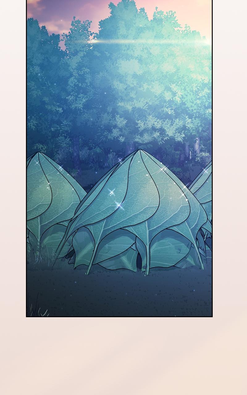 The Nebula’s Civilization 13