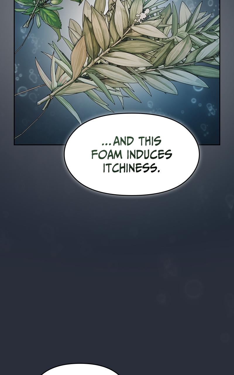 The Nebula’s Civilization 17