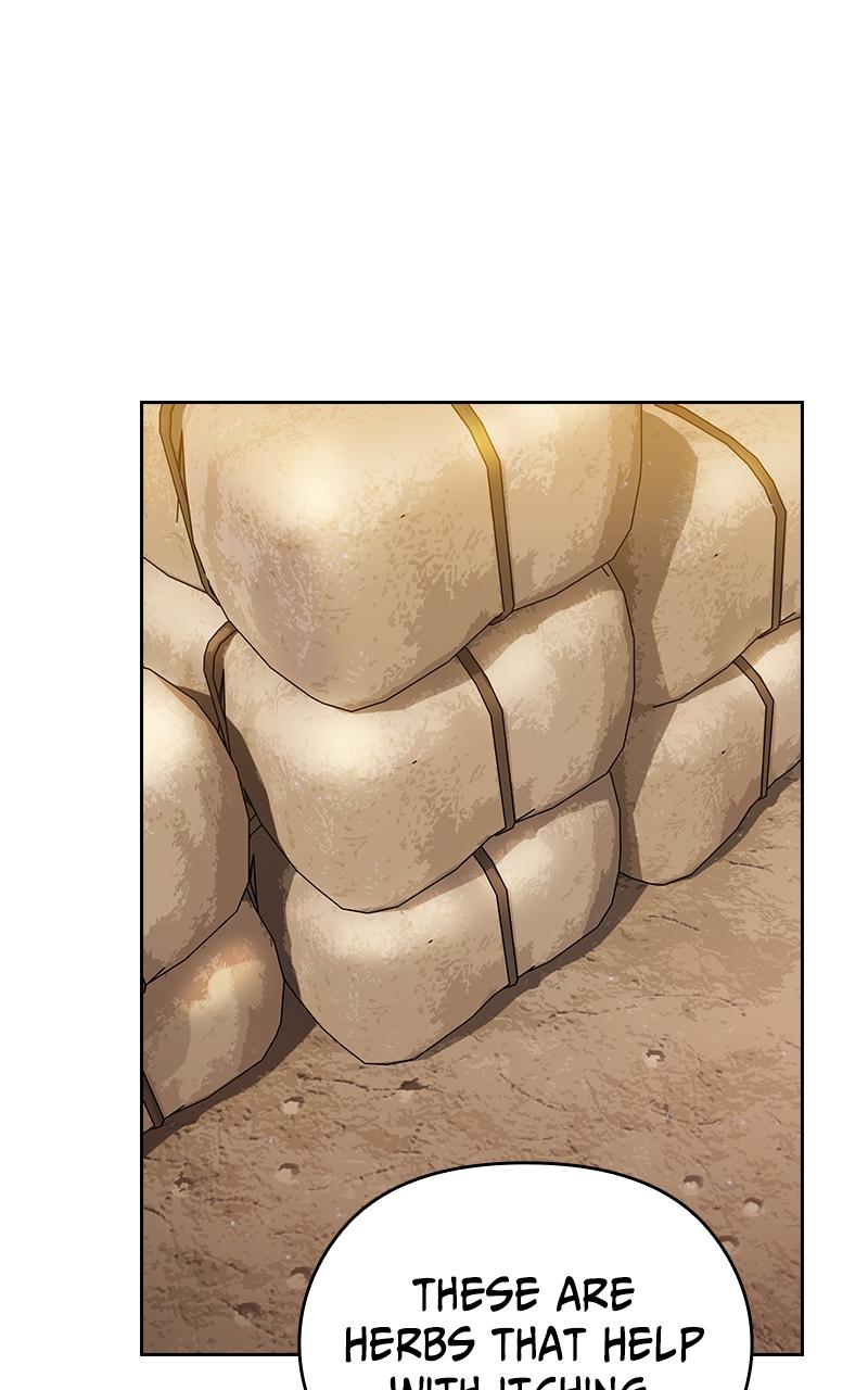 The Nebula’s Civilization 17