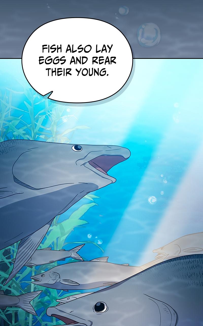 The Nebula’s Civilization 24