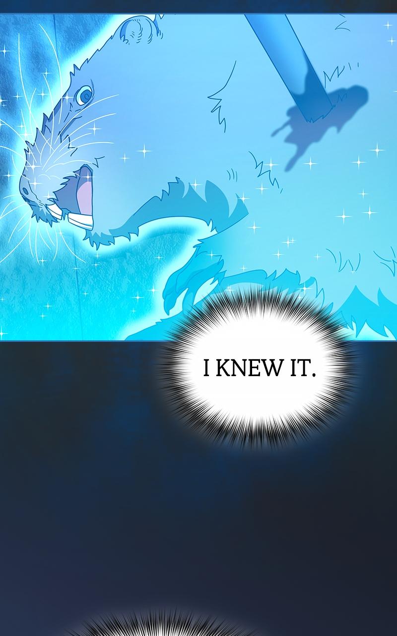 The Nebula’s Civilization 24