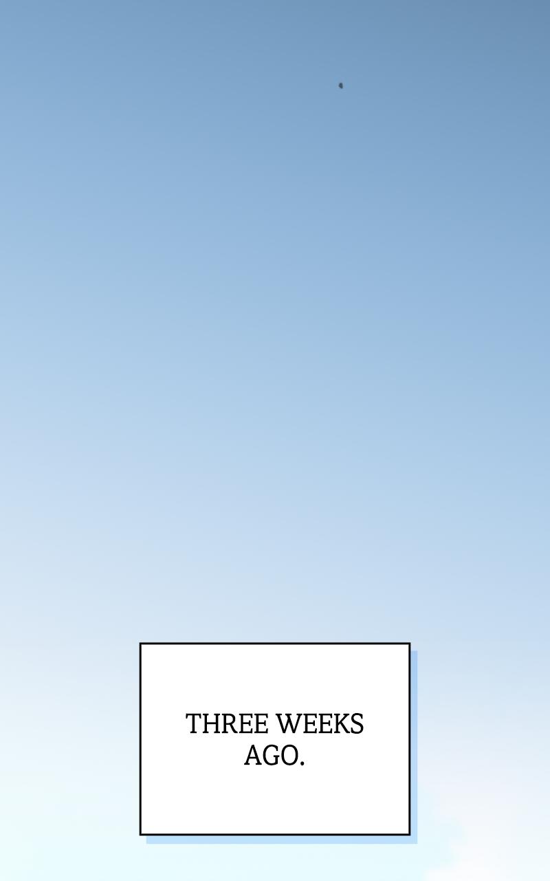 The Nebula’s Civilization 30