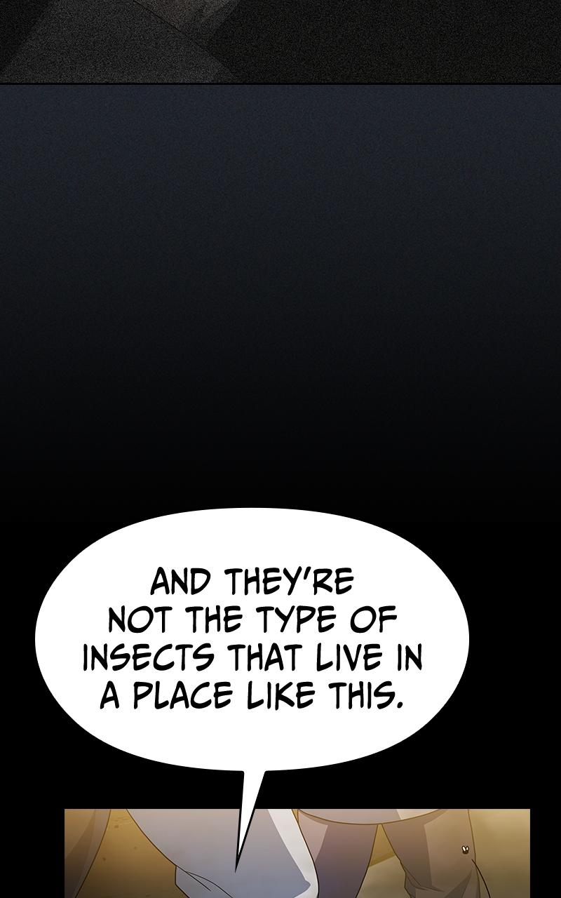 The Nebula’s Civilization 35