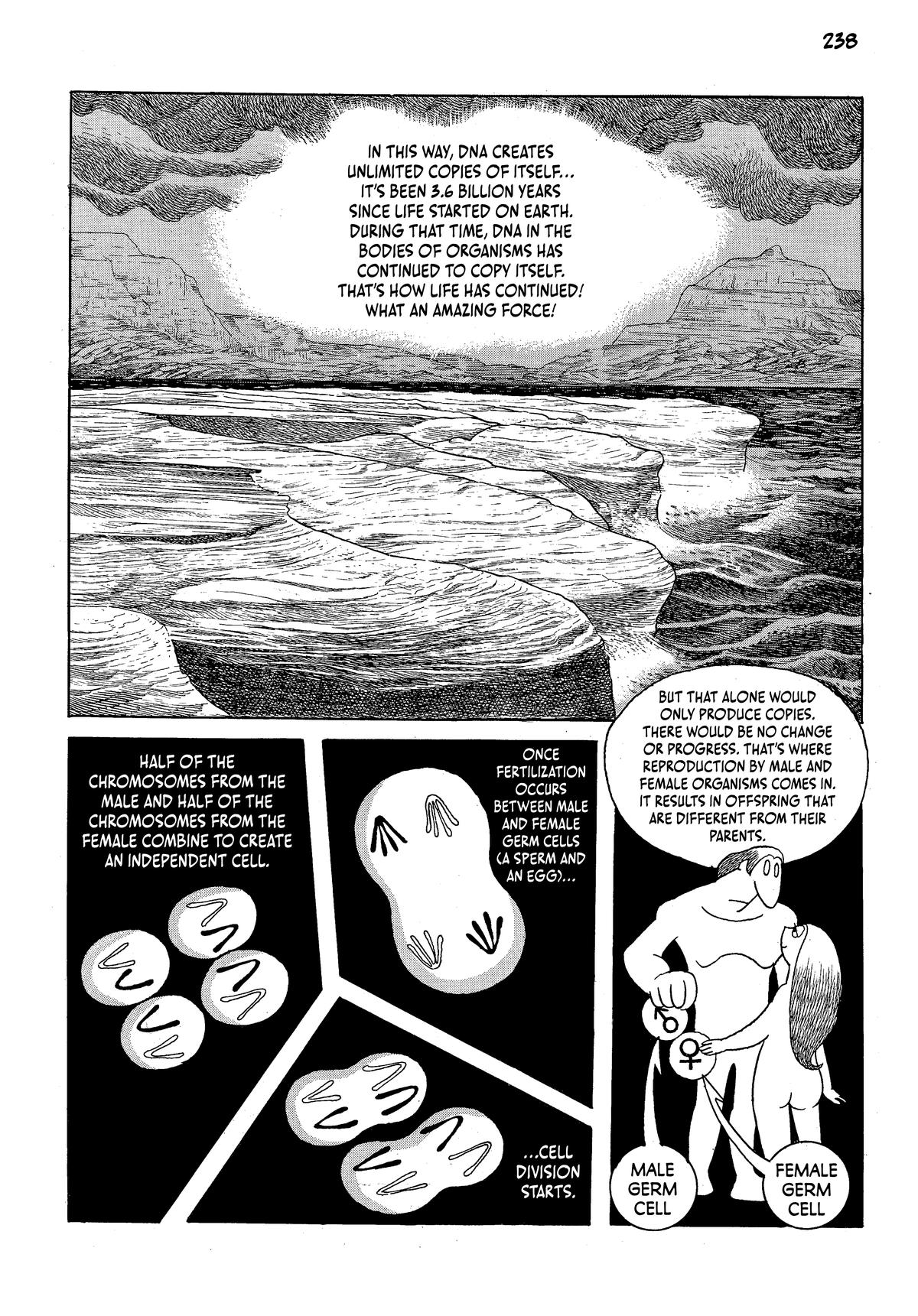 Page 239