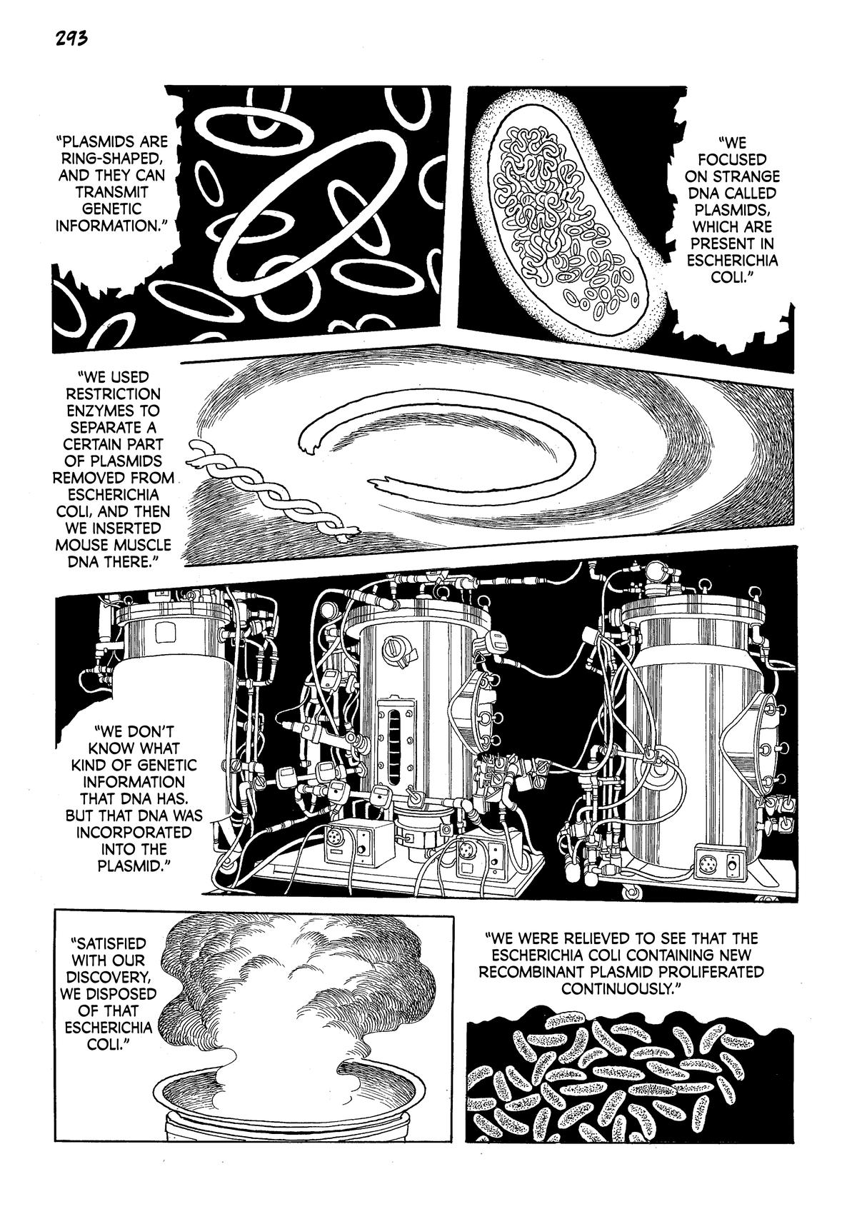 Page 293