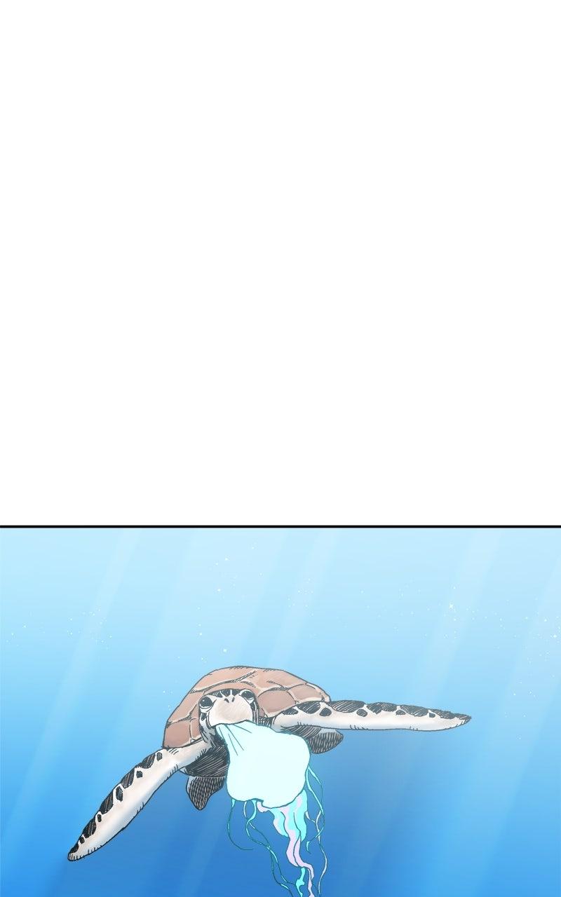 Swimmer Boy Episode 8 34