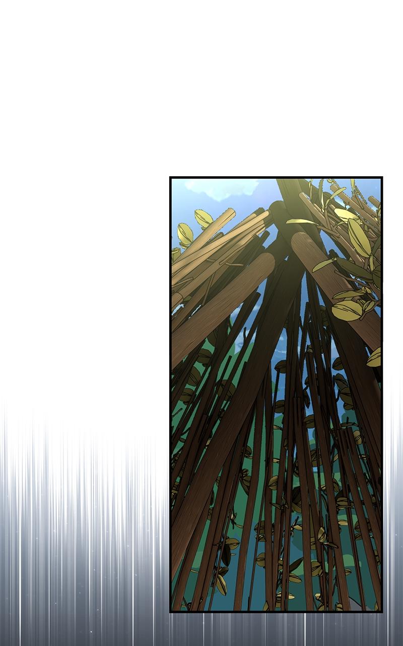 The Extra's Academy Survival Guide Chapter 24