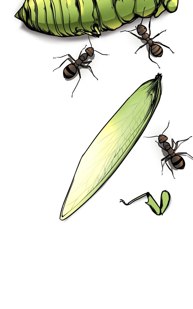 The Shell Episode 1 7