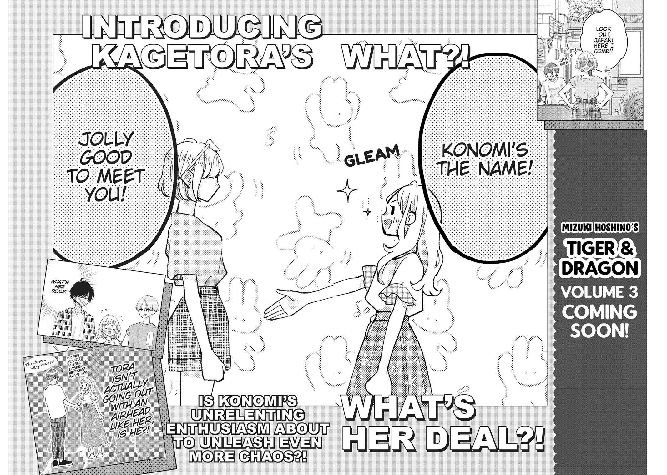 Tiger & Dragon Chapter 12 30